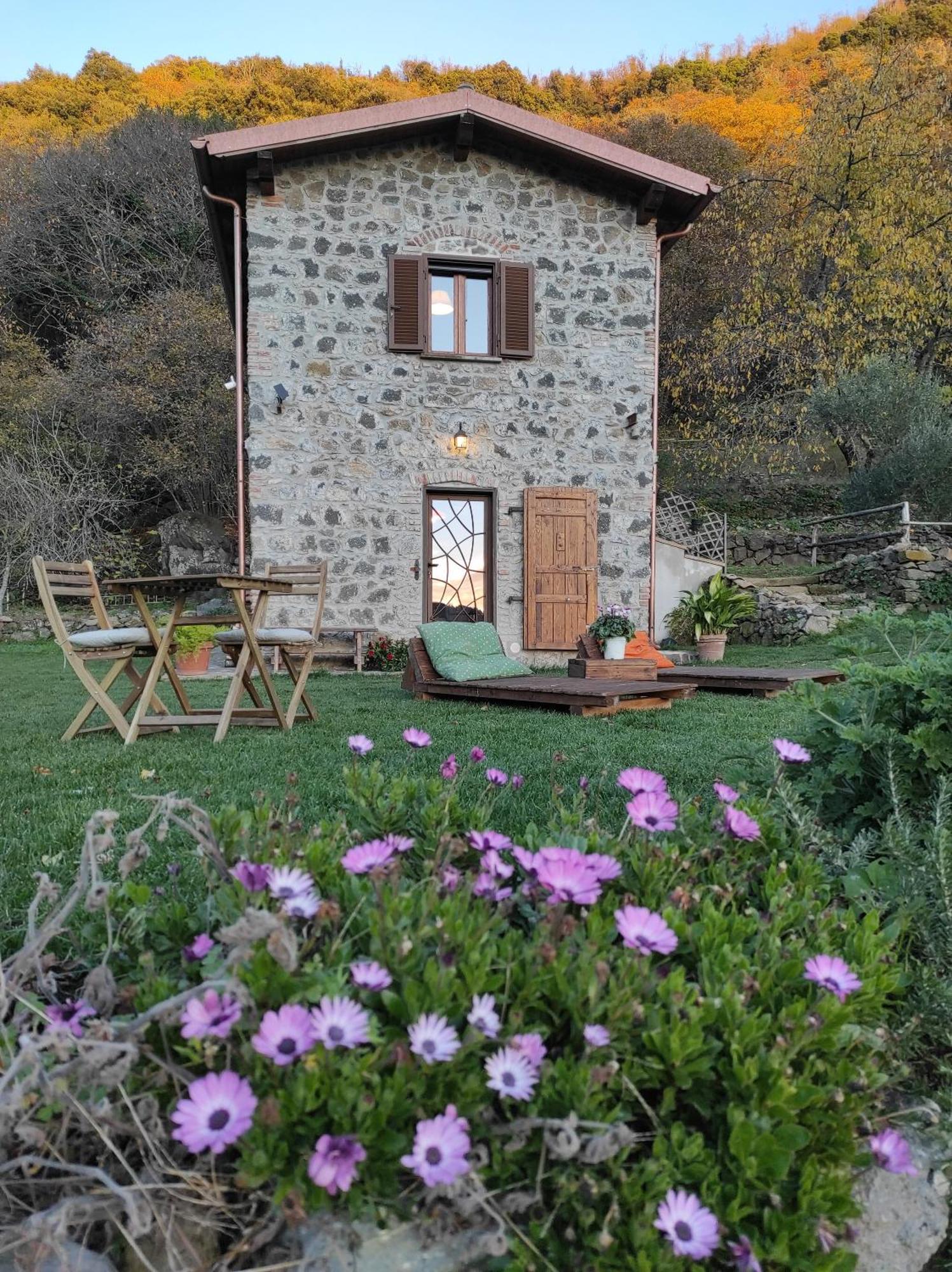Il Nemus Agriturismo Villa Nemi Ngoại thất bức ảnh