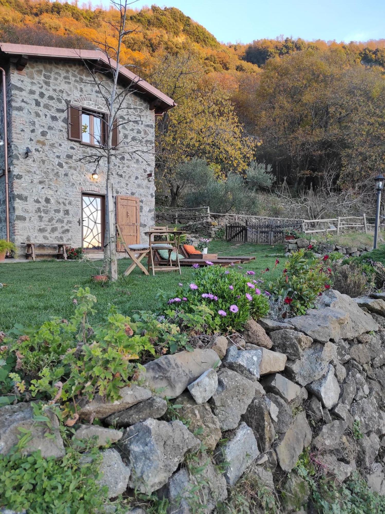 Il Nemus Agriturismo Villa Nemi Ngoại thất bức ảnh